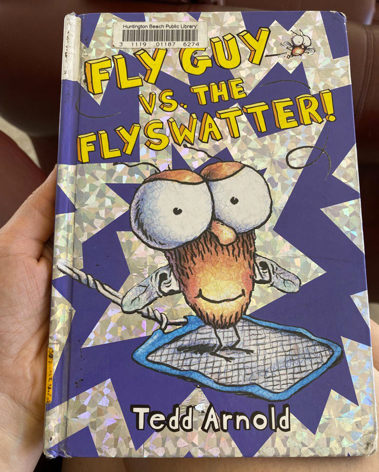 Fly Guy vs. The Flyswatter Book by Tedd Arnold